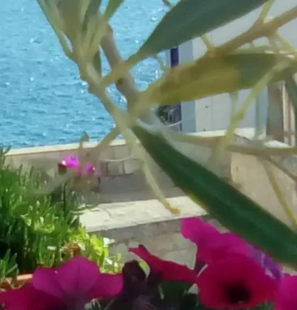 Tra Le Mura Guest house 3*