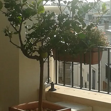 Tra Le Mura Guest house 3*
