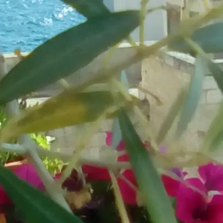 Tra Le Mura Guest house