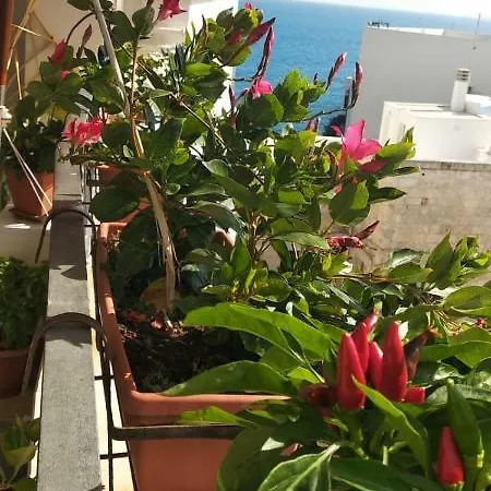 Guest house Tra Le Mura