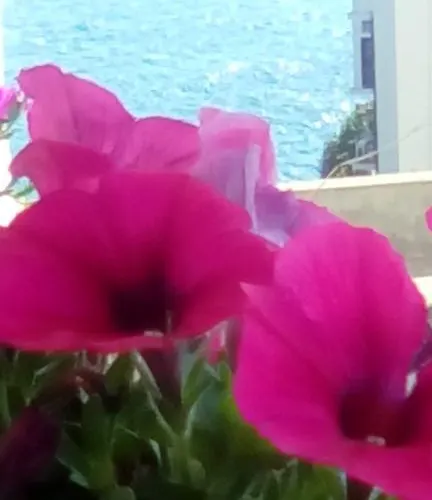 Tra Le Mura Vendégház Polignano a Mare