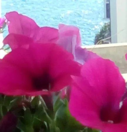 Tra Le Mura Casa de hóspedes Polignano a Mare