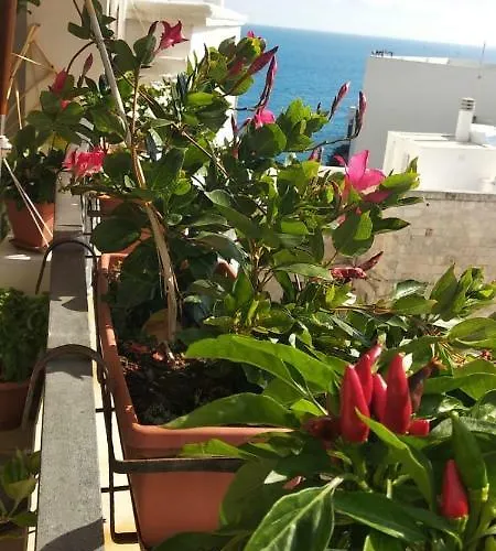 Pensión Tra Le Mura
